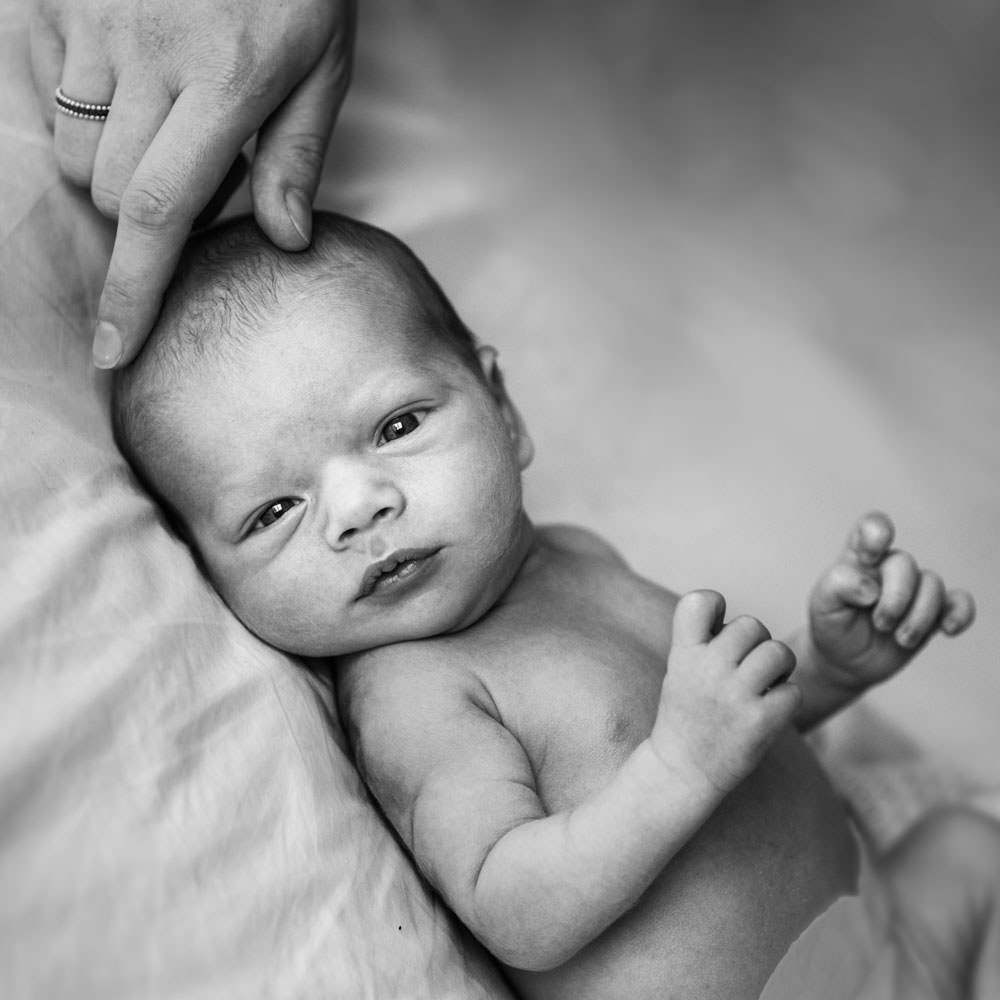 chelsea newborn photographer