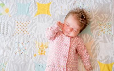 Newborn family photo session in Dulwich
