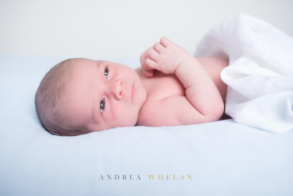 Newborn photography 