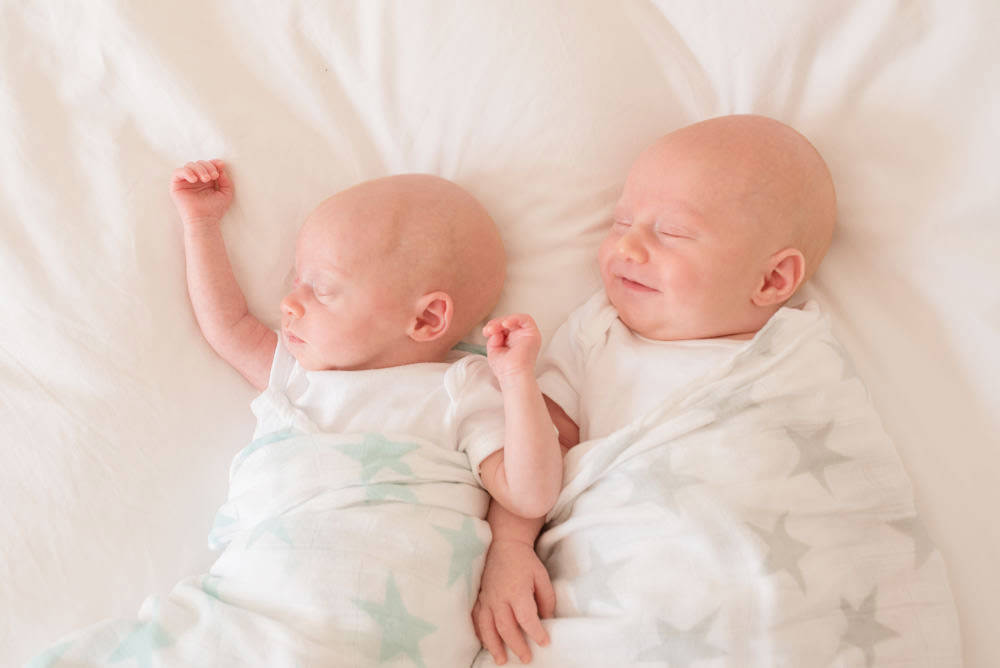 newborn twins portrait