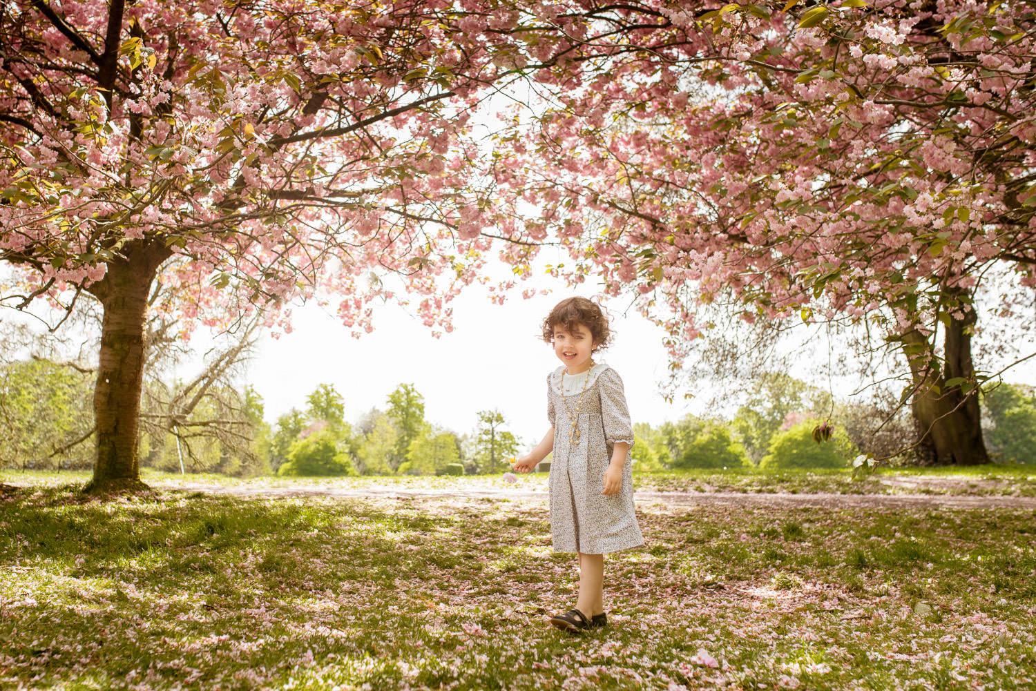 Blossom Trees Greenwich Park