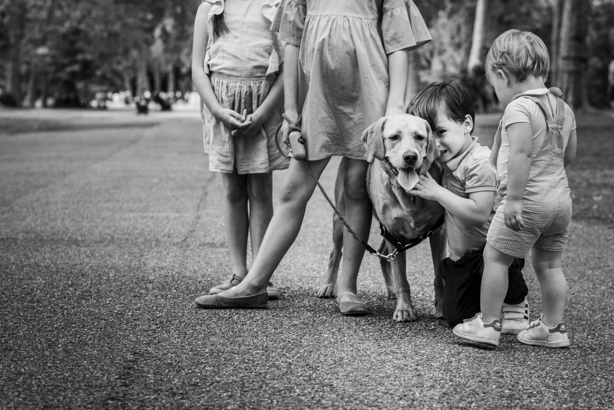 Chelsea children photo session with dog